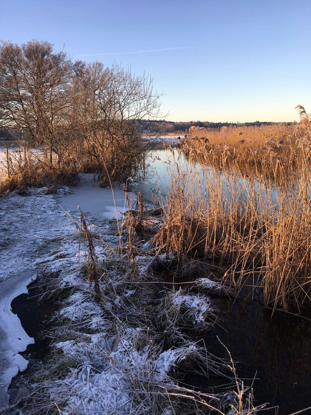 December. Edssjön i höstfärger